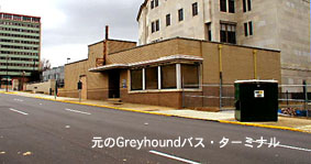 [Greyhound]