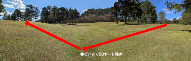 [No.2]