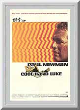 [DVD]