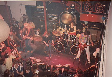 The Windows est. 1983