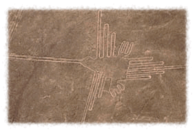 [Hummingbird in Nazca]